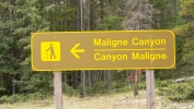 PICTURES/Jasper National Park - Alberta Canada/t_Maligne Canyon Sign.JPG